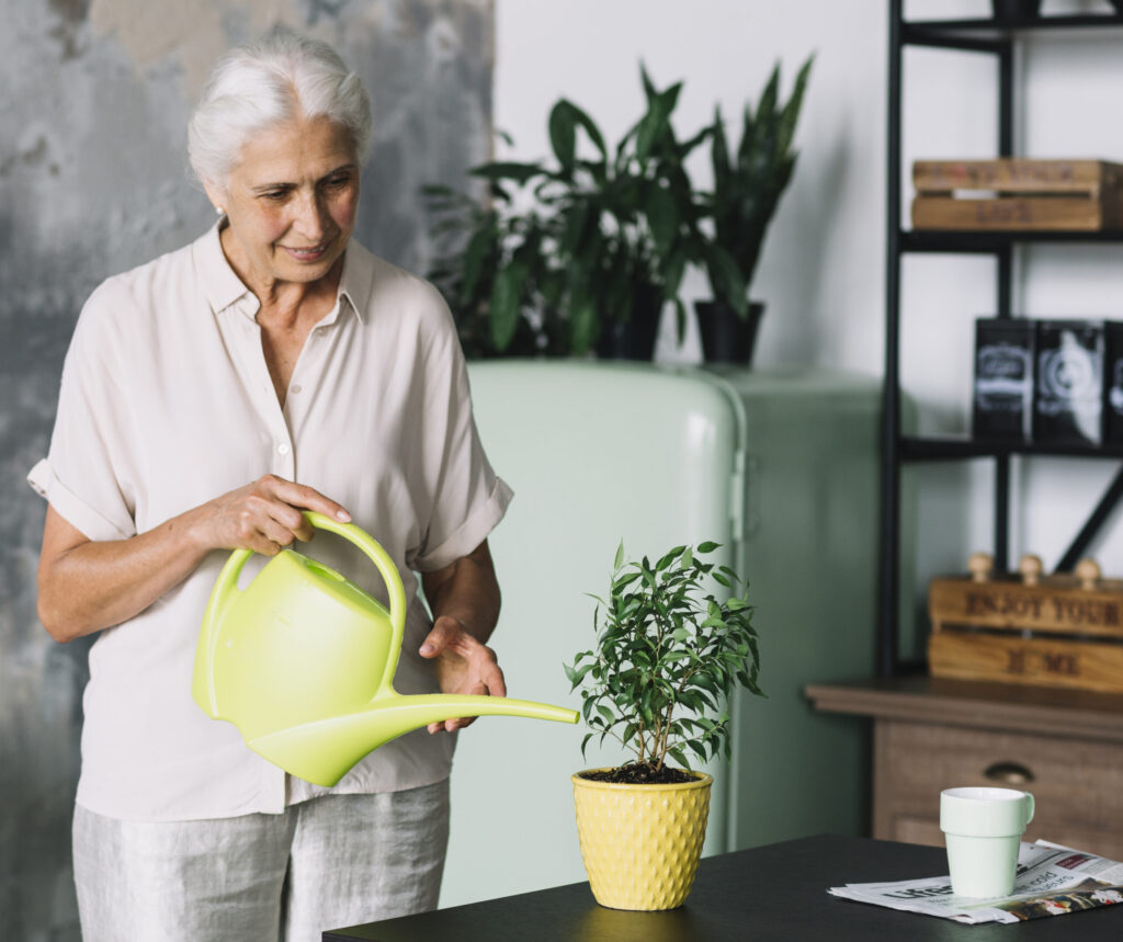 Playing Games for Elders