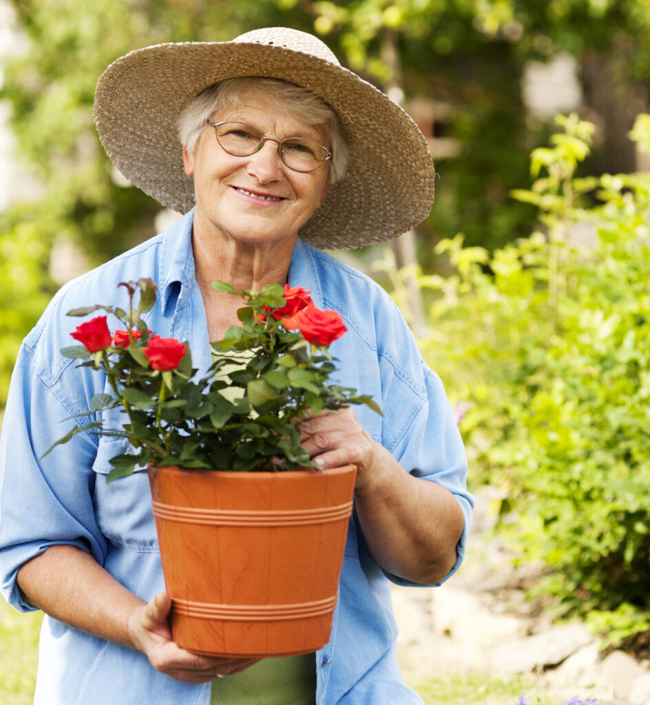Light Gardening for Elder