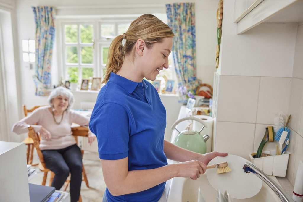 Elder Companionship Program