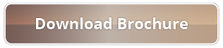 Download Brochure Button Logo